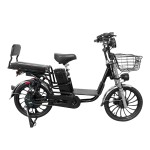 20-inch Ilan Princess II instrument head front and rear oil dish brushless gearless motor lithium battery electric bicycle